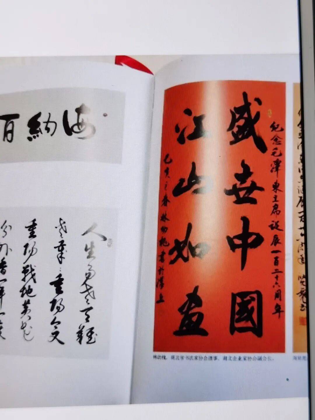 书画界奥斯卡·艺术创新金奖——林幼槐(图19)