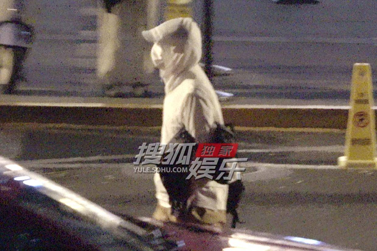 葛优深夜全副武装出行 神秘装扮引发热议