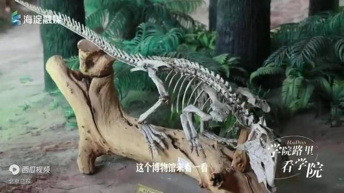 登珠峰、抵南北极！他们把地球密码藏进校园——