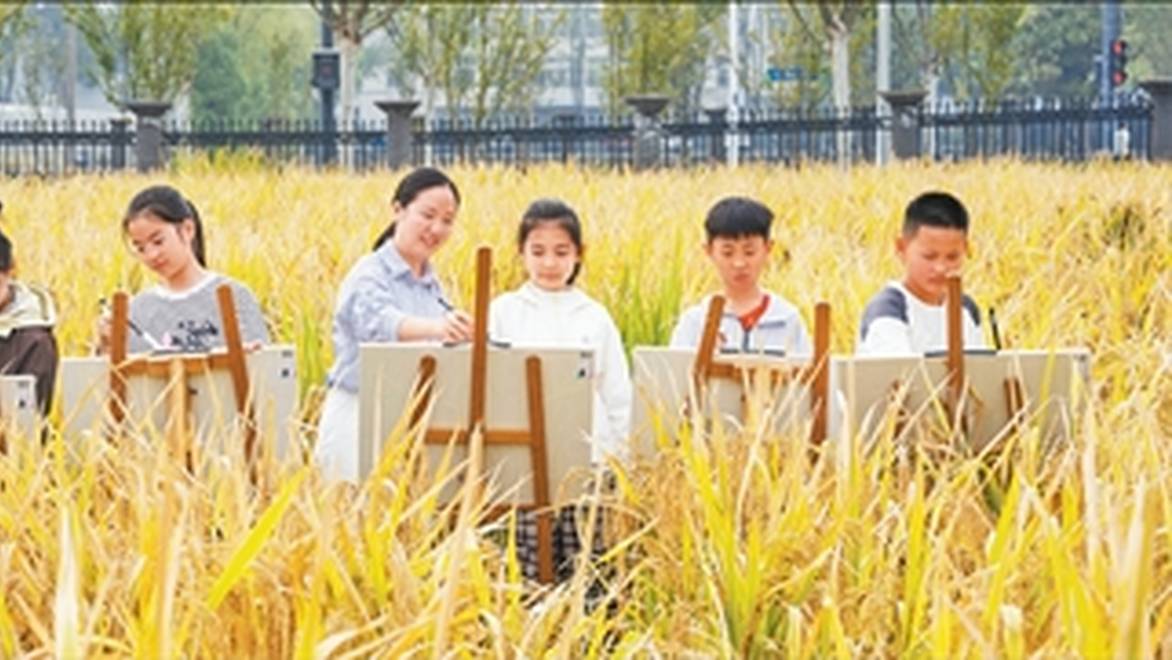 稻田画秋