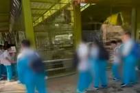 北京一动物园内大猩猩被学生激怒吼叫？园方：判断是与人互动，听到劲爆音乐也会这样