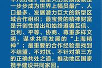 习近平主席阐述如何推动上合组织实现更高质量发展