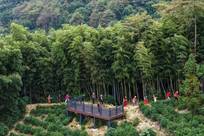 浙江诸暨：美丽乡村开启金秋文旅季