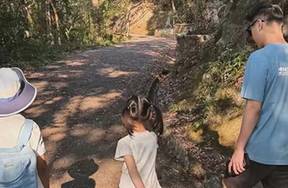 奚梦瑶与何猷君带儿女爬山 画面温馨有爱