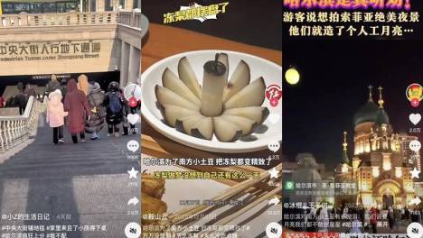 零下20度的哈尔滨早市：“小土豆们”推着行李箱来打卡！