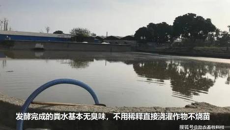 养殖与农产品加工产生的大量废水，如果投入设施处理建设成本与处理成本高，更适合在储液池（氧化塘）直接采用复合微生物处理模式
