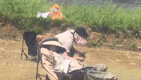 女子去男友家就被带下田插秧，她不好意思拒绝，下田后竟呼噜大睡