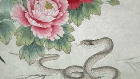 好运如潮水，夏日好事多，近期能在事业上遇见额外喜讯的生肖