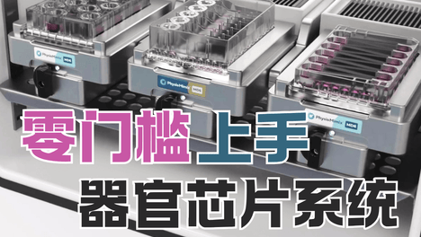内容配图
