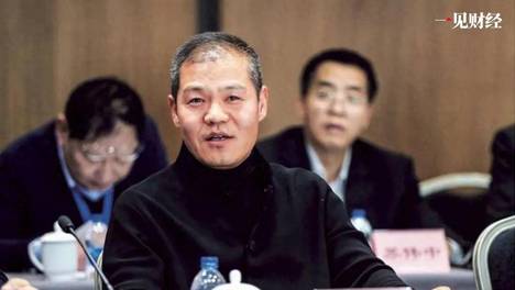刚把总部迁入天津的民企巨头，成国家发改委座上宾