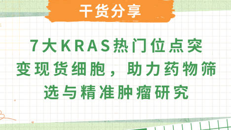 KRAS突变细胞模型：从等位基因特异性信号到精准靶向耐药研究