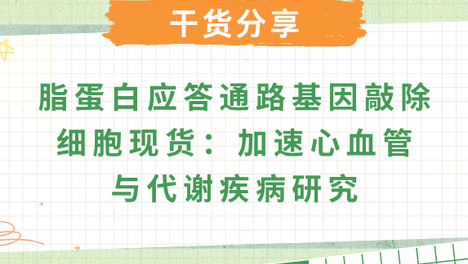 脂蛋白应答通路: 脂蛋白应答与代谢疾病研究模型