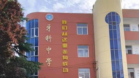 心理教育的乡村答案：宝鸡市牙科中学实施宋馨阳光心理教育实践分享