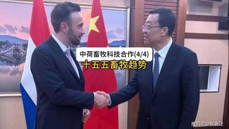 内容配图