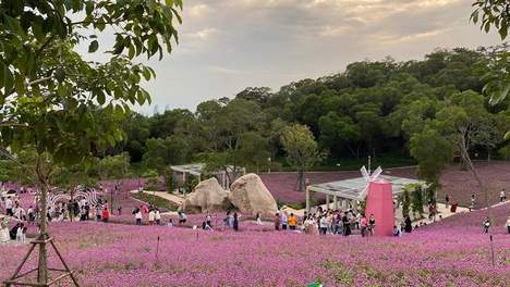 【金牌旅游村】福建｜海沧洪塘村：古厝新韵 潮玩田园