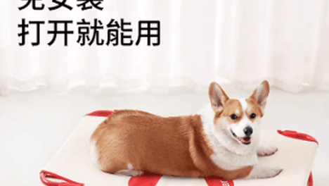 2026年5月中大型犬宠物床品牌推荐:创新设计与品质保障