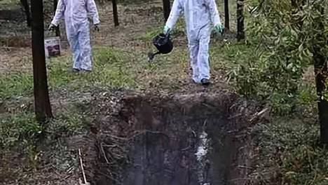 洪水灾害后畜禽尸体大面积生物无害化处置专业技术方案分享