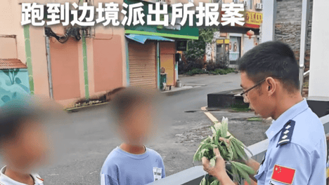 俩小学生揪了把叶子冲进边境派出所：警察叔叔，这像不像大麻？民警一查还真是