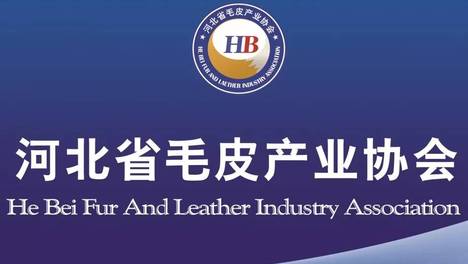 精准服务赋能 自律规范立信——河北省毛皮产业协会入选2025年度全省“四好”商会优秀案例