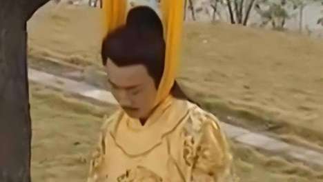 如果崇祯皇帝没有在煤山自缢，李自成会废了他还是杀了他？
