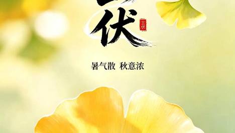 8月24 日出伏！提醒家人：提前做好2件事，多吃3样菜，入秋少遭罪