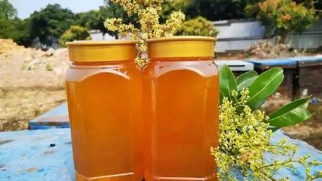 全国哪的蜂蜜最好吃？经评选，这8个地方榜上有名，每一口都是山野馈赠