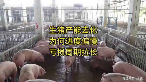 内容配图