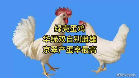 内容配图