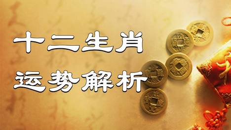 2026年（10月8日）十二生肖最棒运势播报