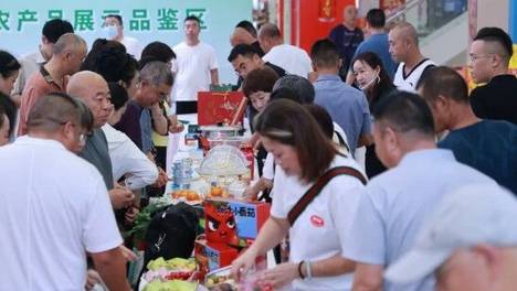 百种优质产品集中亮相，8项合作协议现场签约！兰州高原夏菜暨都市型现代农业招商引资推介会在石家庄举行