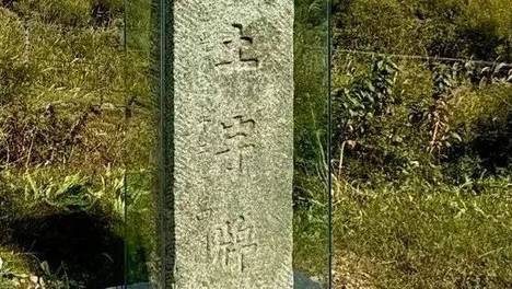 阿信 谢谢一直有你