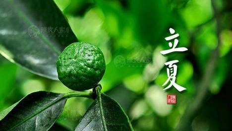立夏节气食谱：暑湿入夏，吃这三瓜