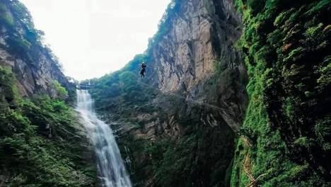 “拿到合法证件的，一个都没有”
