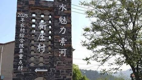 武汉版“有风的地方”藏在蔡甸这个村里