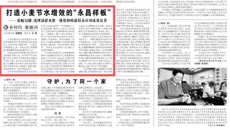 【央媒看金昌】《科技日报》关注：打造小麦节水增效的“永昌样板”——宽幅匀播、浅埋滴灌水肥一体化种植新技术应用成效显著