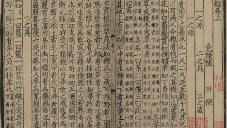 善本古籍的个人主页
