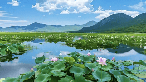 夏天最“伤”脾胃的10个习惯，你避开了几条？
