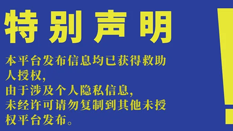 选择买不到的爱|20260917期线上领养日