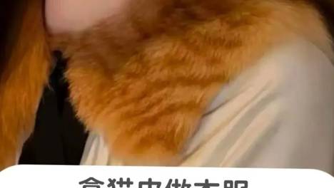 毛领使用狸花猫背部毛皮制作遭网友抵制，女装网店致歉并下架商品，律师：若皮毛来源于被盗杀的宠物，达到标准可构成盗窃罪