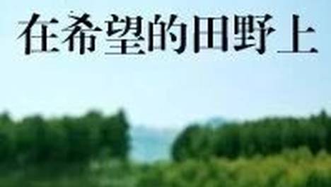 【在希望的田野上】抢抓农时 绘就秋收好“丰”景