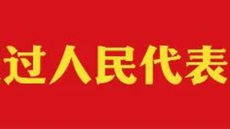 全市区镇两级人大换届选举工作解读（十）