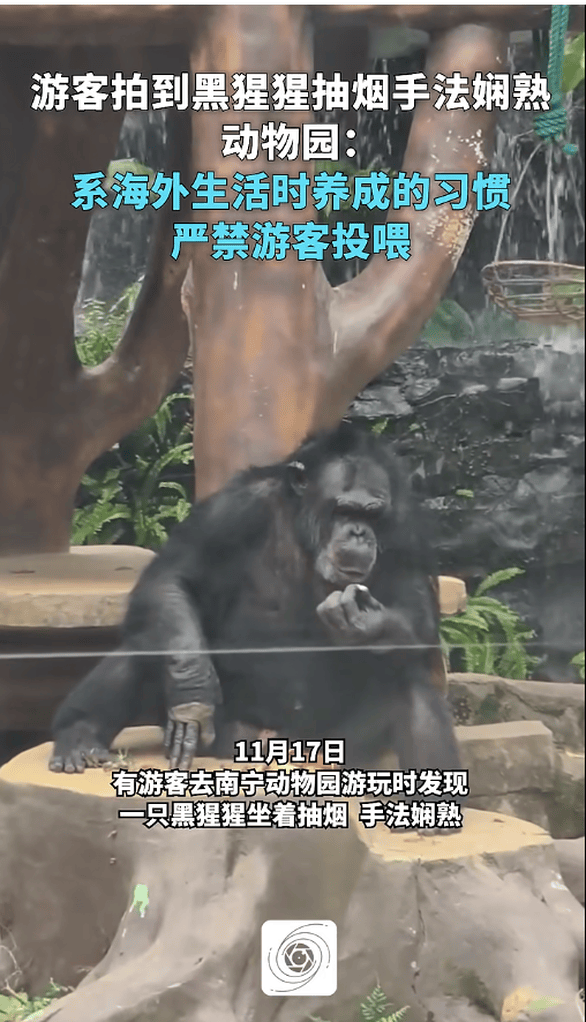 8090后手里的大风车从未停止转动