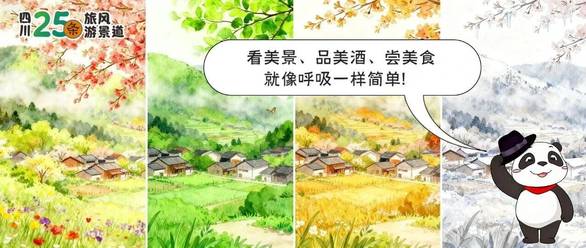 11年铁粉穿高定礼服看王源演唱会