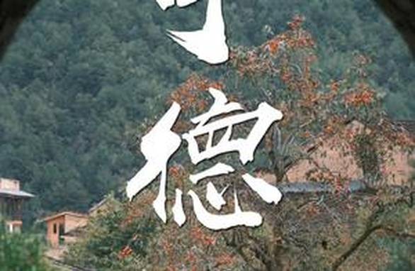 记者暗访资格证交钱包过黑产链