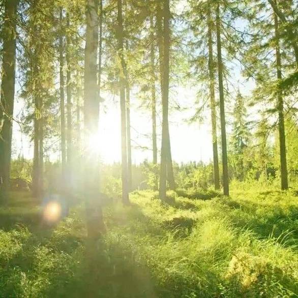 网易游戏发布会