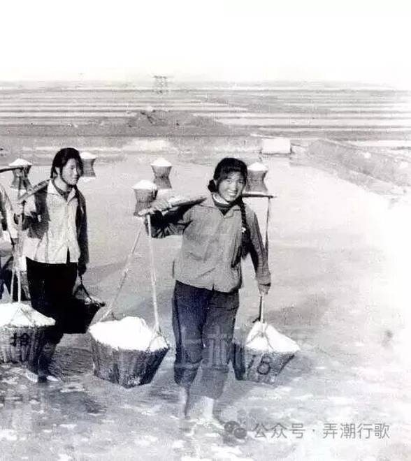 弄潮第四章：竹枝与龙门