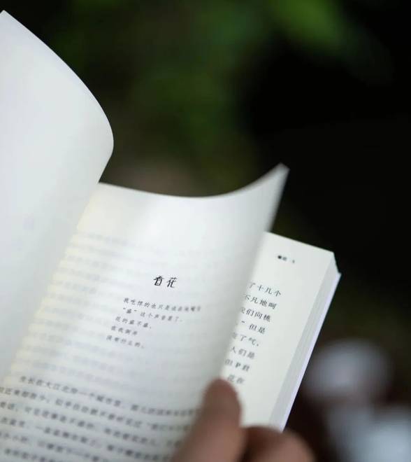 夜读 | 假期里常做这事，轻松提高你的眼界