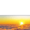 星宇视觉