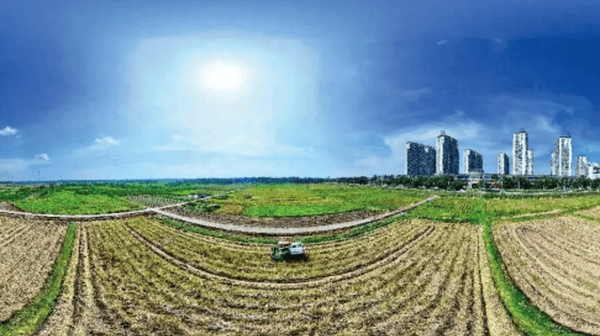 下乡调研：乡镇干部都在种地