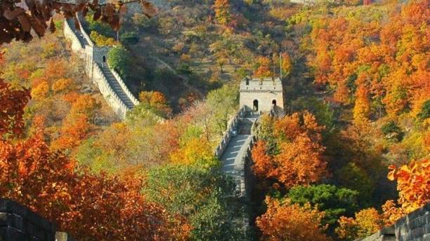 兵马俑身上发现100多枚工匠指纹